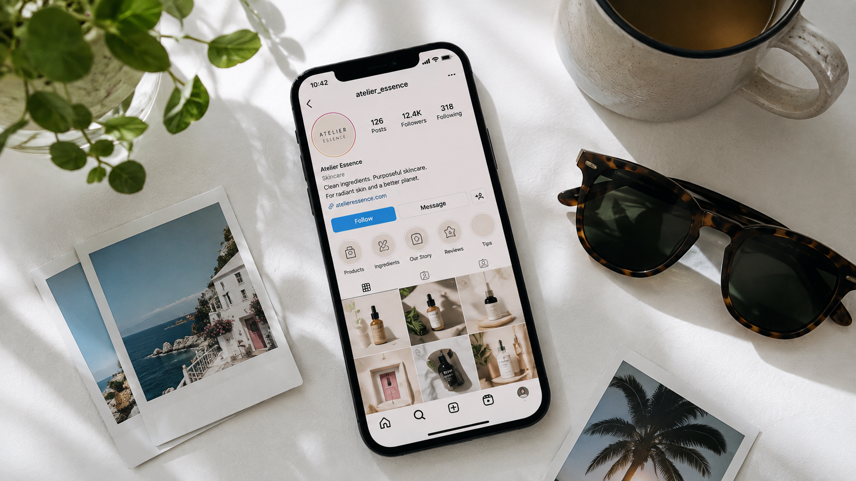 Brand identity and online presence work by Studio Seven